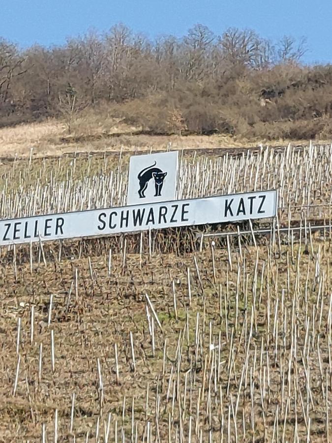 Fewo Siemens Mosel Zell Buitenkant foto